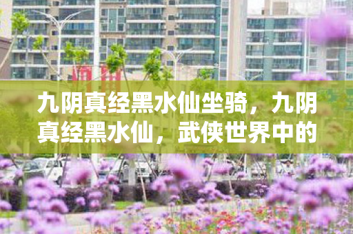 九阴真经黑水仙坐骑，九阴真经黑水仙，武侠世界中的神秘传说