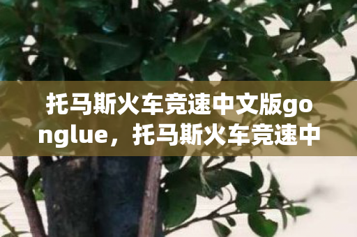 托马斯火车竞速中文版gonglue，托马斯火车竞速中文版，一场别开生面的火车竞速盛宴