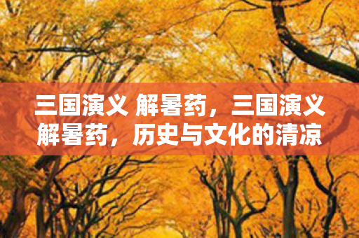 三国演义 解暑药，三国演义解暑药，历史与文化的清凉交汇