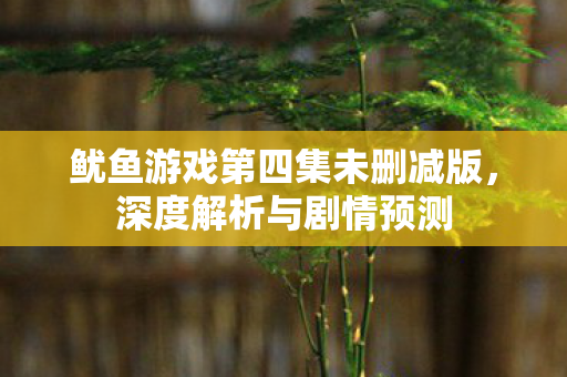 鱿鱼游戏第四集未删减版，深度解析与剧情预测