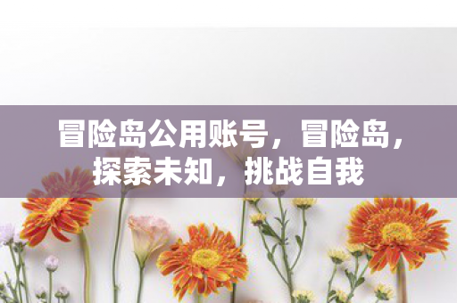 冒险岛公用账号，冒险岛，探索未知，挑战自我