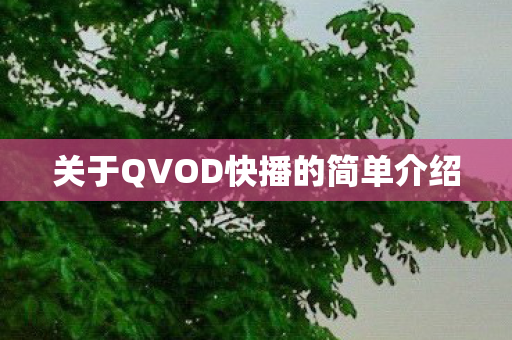 关于QVOD快播的简单介绍