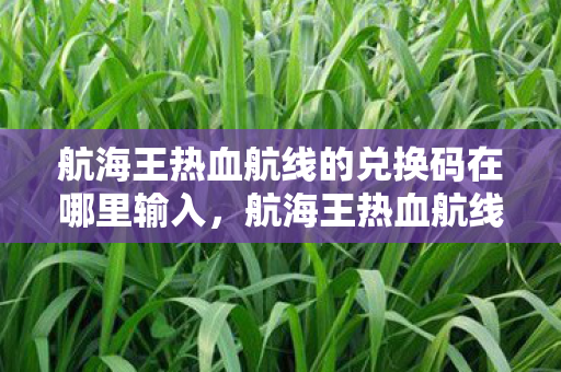 航海王热血航线的兑换码在哪里输入，航海王热血航线兑换码输入指南