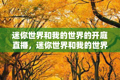 迷你世界和我的世界的开庭直播，迷你世界和我的世界开庭直播，一场知识产权的较量