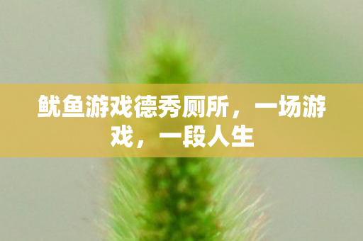 鱿鱼游戏德秀厕所，一场游戏，一段人生