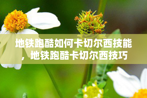 地铁跑酷如何卡切尔西技能,地铁跑酷卡切尔西技巧 地铁跑酷如何卡切尔西技能,地铁跑酷卡切尔西技巧