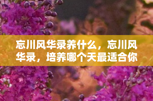 忘川风华录养什么，忘川风华录，培养哪个天最适合你？