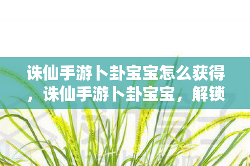 诛仙手游卜卦宝宝怎么获得，诛仙手游卜卦宝宝，解锁神秘力量的关键