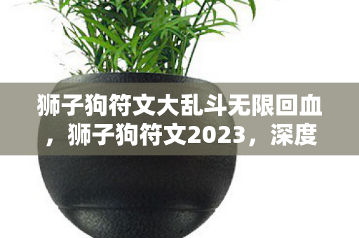 狮子狗符文大乱斗无限回血，狮子狗符文2023，深度解析与实战应用