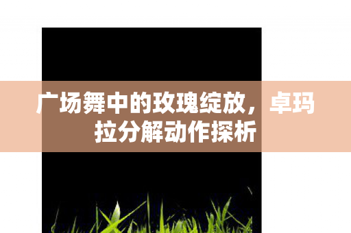 广场舞中的玫瑰绽放，卓玛拉分解动作探析