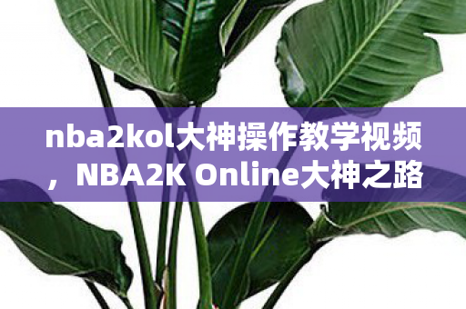 nba2kol大神操作教学视频，NBA2K Online大神之路，从新手到高手的蜕变