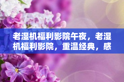 老湿机福利影院午夜，老湿机福利影院，重温经典，感受电影艺术的魅力