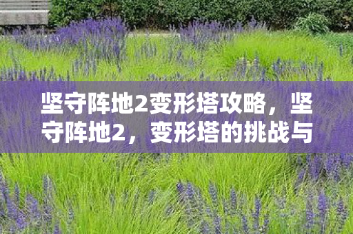 坚守阵地2变形塔攻略，坚守阵地2，变形塔的挑战与荣耀