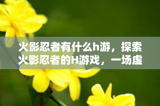 火影忍者有什么h游，探索火影忍者的H游戏，一场虚构的冒险