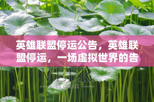 英雄联盟停运公告，英雄联盟停运，一场虚拟世界的告别