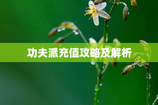 功夫派充值攻略及解析