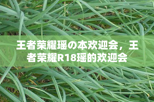 王者荣耀瑶の本欢迎会，王者荣耀R18瑶的欢迎会