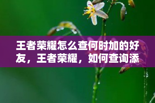 王者荣耀怎么查何时加的好友，王者荣耀，如何查询添加好友的具体日期？