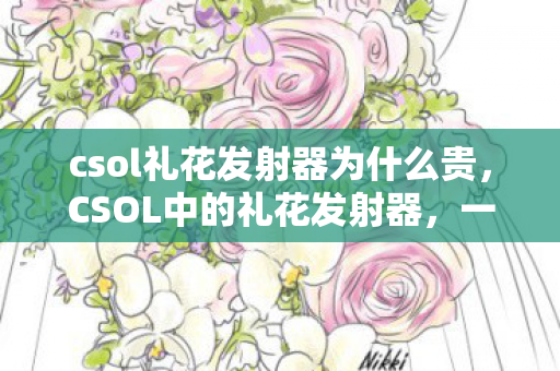 csol礼花发射器为什么贵，CSOL中的礼花发射器，一场虚拟世界的庆典