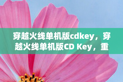 穿越火线单机版cdkey，穿越火线单机版CD Key，重温经典，无需联网的射击盛宴