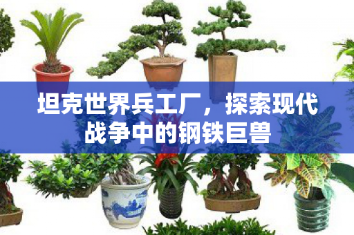 坦克世界兵工厂，探索现代战争中的钢铁巨兽