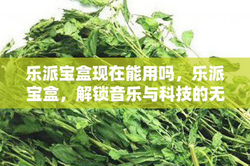 乐派宝盒现在能用吗，乐派宝盒，解锁音乐与科技的无限可能