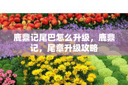 鹿鼎记尾巴怎么升级，鹿鼎记，尾章升级攻略