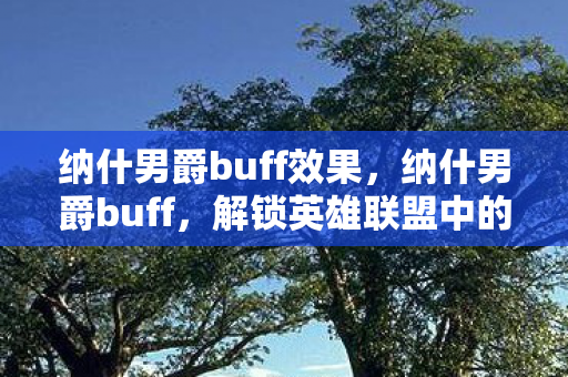 纳什男爵buff效果，纳什男爵buff，解锁英雄联盟中的隐藏力量
