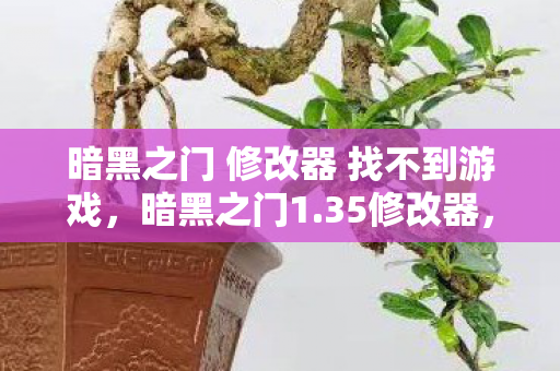 暗黑之门 修改器 找不到游戏，暗黑之门1.35修改器，解锁无限可能的冒险之旅