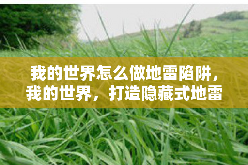 我的世界怎么做地雷陷阱，我的世界，打造隐藏式地雷的创意指南