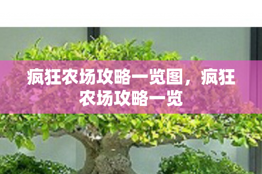 疯狂农场攻略一览图，疯狂农场攻略一览