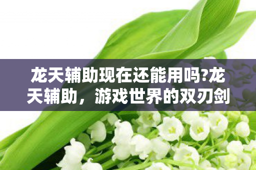 龙天辅助现在还能用吗?龙天辅助,游戏世界的双刃剑 龙天辅助现在还能用吗?龙天辅助,游戏世界的双刃剑