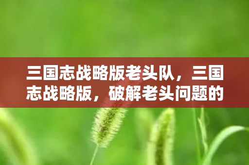 三国志战略版老头队,三国志战略版,破解老头问题的五大策略 三国志战略版老头队,三国志战略版,破解老头问题的五大策略
