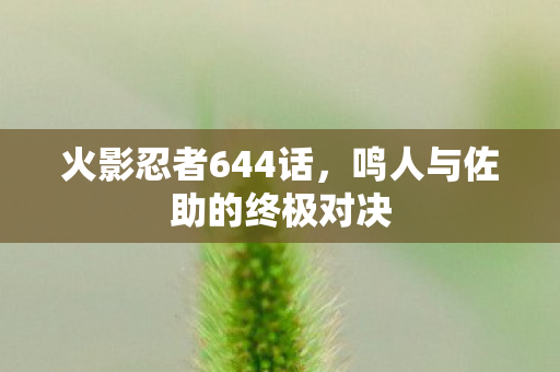 火影忍者644话，鸣人与佐助的终极对决
