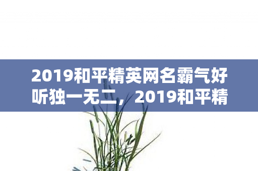 2019和平精英网名霸气好听独一无二，2019和平精英网名霸气好听