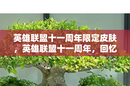 英雄联盟十一周年限定皮肤,英雄联盟十一周年,回忆与未来的交织 英雄联盟十一周年限定皮肤,英雄联盟十一周年,回忆与未来的交织