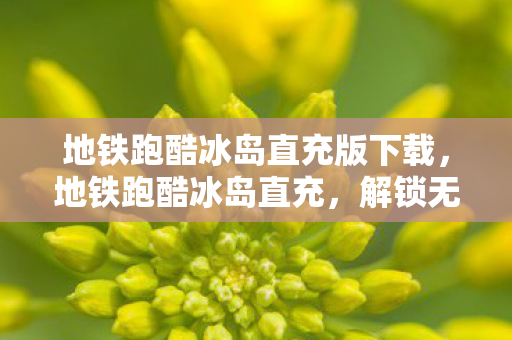 地铁跑酷冰岛直充版下载，地铁跑酷冰岛直充，解锁无限金币与钥匙的秘籍