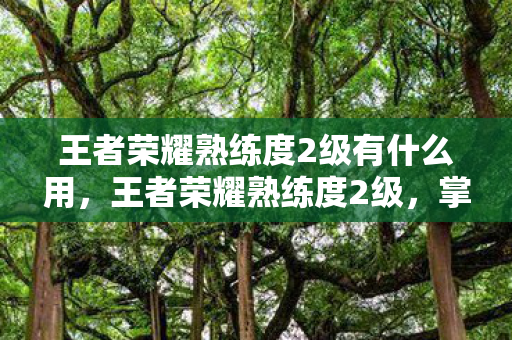 王者荣耀熟练度2级有什么用，王者荣耀熟练度2级，掌握英雄基础，提升游戏实力