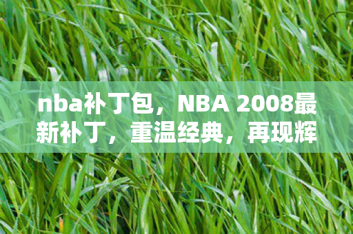 nba补丁包,NBA 2008最新补丁,重温经典,再现辉煌 nba补丁包,NBA 2008最新补丁,重温经典,再现辉煌