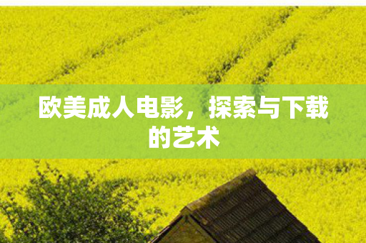 欧美成人电影，探索与下载的艺术
