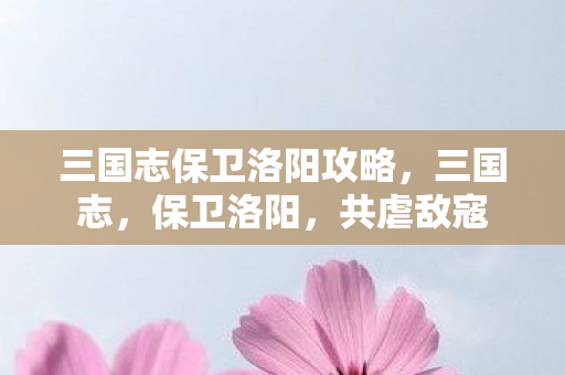 三国志保卫洛阳攻略，三国志，保卫洛阳，共虐敌寇