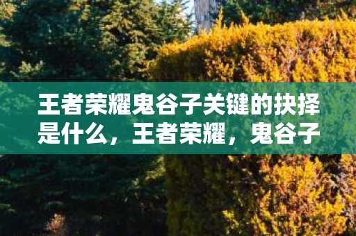 王者荣耀鬼谷子关键的抉择是什么，王者荣耀，鬼谷子关键的抉择