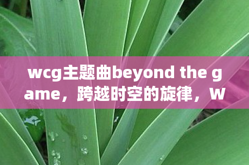 wcg主题曲beyond the game，跨越时空的旋律，WCG主题曲的传奇之旅