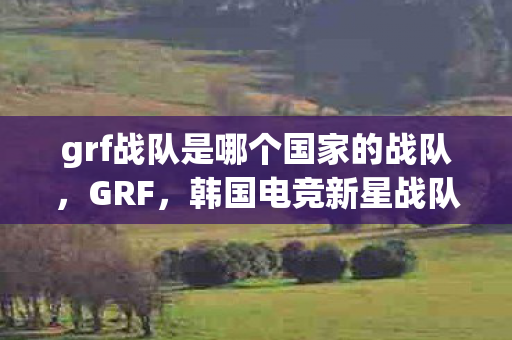 grf战队是哪个国家的战队，GRF，韩国电竞新星战队的崛起之路