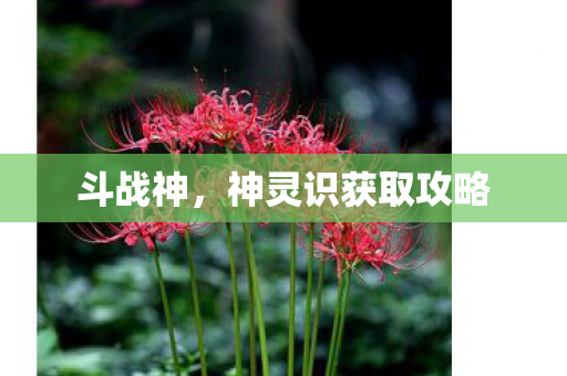 斗战神，神灵识获取攻略