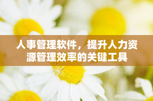 人事管理软件,提升人力资源管理效率的关键工具 人事管理软件,提升人力资源管理效率的关键工具