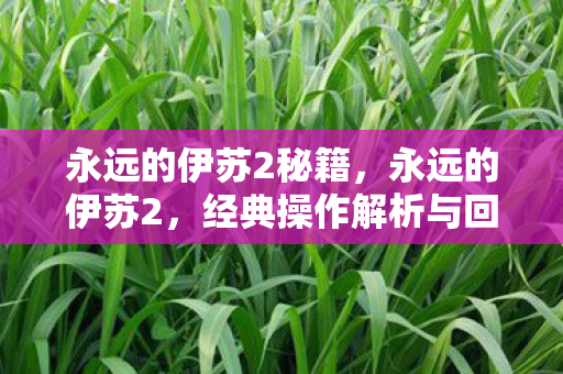 永远的伊苏2秘籍，永远的伊苏2，经典操作解析与回忆