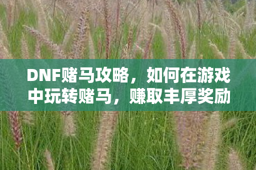 DNF赌马攻略，如何在游戏中玩转赌马，赚取丰厚奖励
