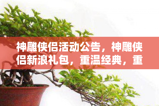 神雕侠侣活动公告，神雕侠侣新浪礼包，重温经典，重温武侠梦