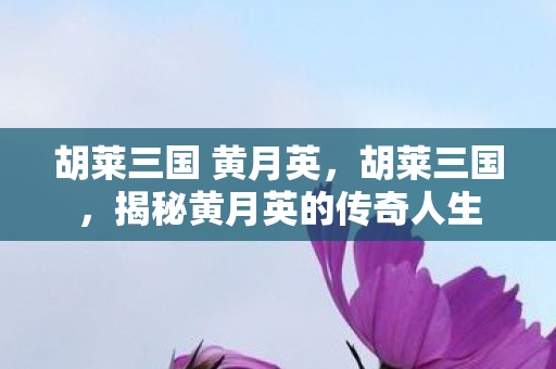 胡莱三国 黄月英，胡莱三国，揭秘黄月英的传奇人生